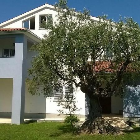 Apartments Villa Ulivo - Apartment Sol Fažana Exteriér fotografie